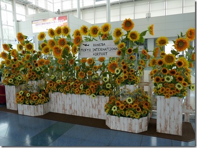羽田空港国際線に 朝顔 と ひまわり の装飾登場の編19 地滑小心な羽田空港ブログ